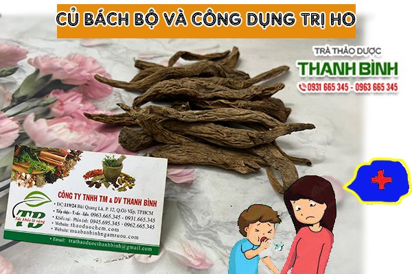 cu-bach-bo-kho-thao-duoc-thanh-binh