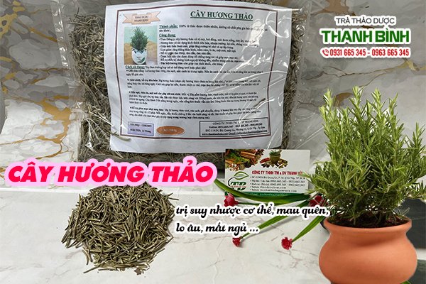 cay-huong-thao-thanh-binh