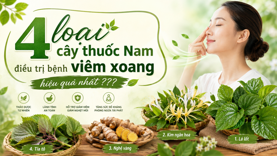4 loại cây thuốc Nam điều trị bệnh viêm xoang hiệu quả nhất ???