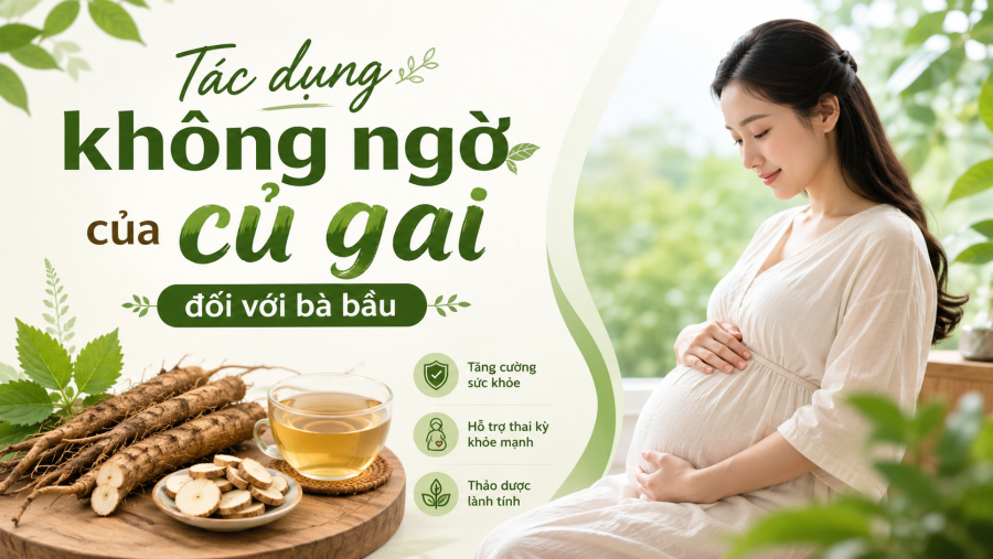 Tác dụng không ngờ của củ gai đối với bà bầu ???