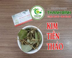 Địa chỉ bán kim tiền thảo trị sỏi thận hiệu quả nhất