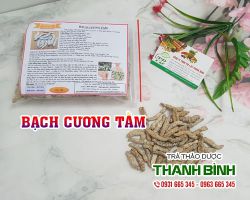 Bạch cương tằm [công dụng, cách dùng] mua ở đâu nguyên chất?