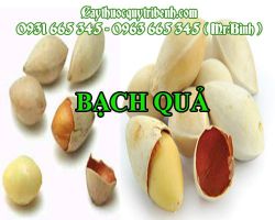 BẠCH QUẢ