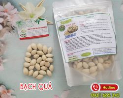Bạch quả có tác dụng gì và cách sử dụng bạch quả