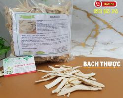 Bạch thược và công dụng chữa bệnh trong Đông y