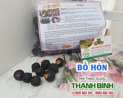Bồ hòn [Tác dụng, Cách dùng] Mua ở đâu nguyên chất giá rẻ ?