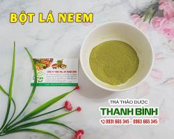 Bột lá neem [Tác dụng làm đẹp da, cách dùng] Mua ở đâu nguyên chất?