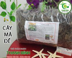 Cách dùng cây mã đề - Cây mã đề chữa bệnh gì?