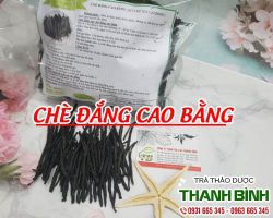 Cách sử dụng chè đắng Cao Bằng hiệu quả nhất