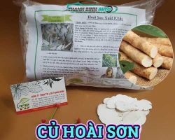Cách sử dụng củ hoài sơn giúp phục hồi và căn bằng chỉ số đường huyết ổn định