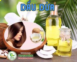 Cách sử dụng dầu dừa nguyên chất có công dụng giúp an thần hiệu quả nhất