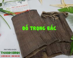 Cách sử dụng đỗ trọng trong đông y