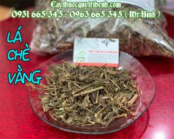 Cách sử dụng lá chè vằng trong điều trị bệnh