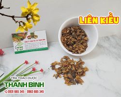 Cách sử dụng liên kiều trong điều trị nóng trong và nổi mề đay tốt nhất