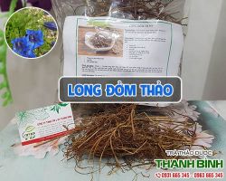 Cách sử dụng long đởm thảo hỗ trợ điều trị viêm gan cấp thể vàng da