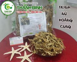 Cách sử dụng trinh nữ hoàng cung trong điều trị bệnh