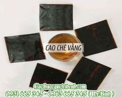 Cao chè vằng có lợi sữa và giảm cân không?