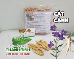 Cát cánh [công dụng, cách dùng] mua ở đâu nguyên chất?