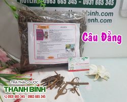 Câu đằng [công dụng, cách dùng] mua ở đâu nguyên chất