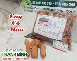 Cây cỏ máu [công dụng, cách dùng] mua ở đâu nguyên chất?