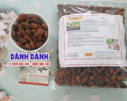 Cây dành dành có tác dụng gì đối với sức khỏe