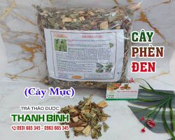 Cây phèn đen [công dụng, cách dùng] mua ở đâu nguyên chất?