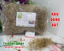 Cây rau đắng [công dụng, cách dùng] mua ở đâu nguyên chất?
