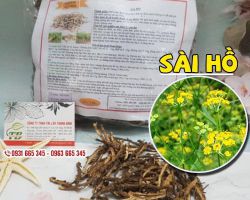 Cây sài hồ có tác dụng gì