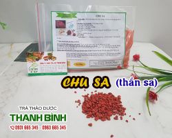 Chu sa [công dụng, cách dùng] mua ở đâu nguyên chất?