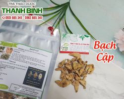 Công dụng chữa bệnh của bạch cập trong Đông y