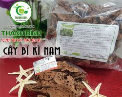 Công dụng chữa bệnh của cây bí kì nam