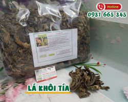 Công dụng chữa dạ dày của lá khôi tía thực hư ra sao ?