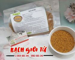 Công dụng của bạch giới tử, bạch giới tử trị bệnh gì