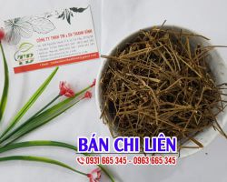 Công dụng của bán chi liên