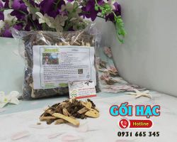 Cây Gối Hạc [ TÁC DỤNG, CÁCH LÀM ] MUA Ở ĐÂU NGUYÊN CHẤT GIÁ RẺ ? 