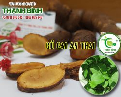 Công dụng của củ gai an thai đối với phụ nữ mang thai