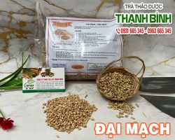 Công dụng của đại mạch (lúa mạch) giúp bồi bổ sức khỏe hiệu quả nhất