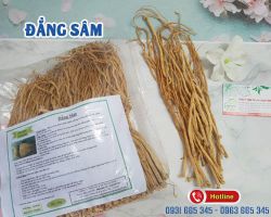 Công dụng của đẳng sâm trong Đông y