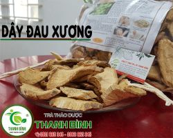 Công dụng của dây đau xương - Cách dùng dây đau xương là gì ???