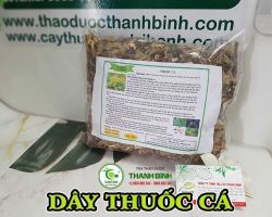 Công dụng của dây thuốc cá trong việc bắt cá dễ dàng và hiệu quả nhất