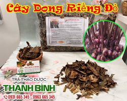 Công dụng của dong riềng đỏ trong việc thanh nhiệt giải độc hiệu quả nhất