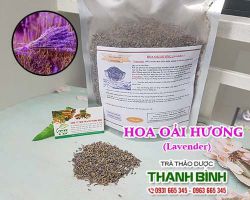 Công dụng của hoa oải hương trong việc chữa trị bệnh mất ngủ
