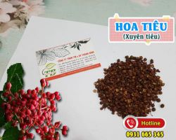 Công dụng của hoa tiêu (xuyên tiêu) ít người biết