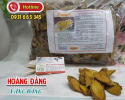 Công dụng của hoàng đằng đối với sức khỏe ít người biết
