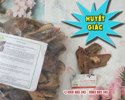Công dụng của huyết giác là gì ?