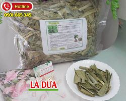 Công dụng của lá dứa và những điều cần hết sức lưu ý khi dùng