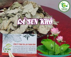 Công dụng của lá sen khô, lá sen khô chữa bệnh gì hiệu quả nhất