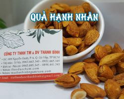 Công dụng của quả hạnh nhân trong điều trị bệnh