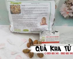 Công dụng của quả kha tử