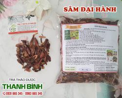 Công dụng của sâm đại hành – loại sâm quen thuộc nơi vùng quê